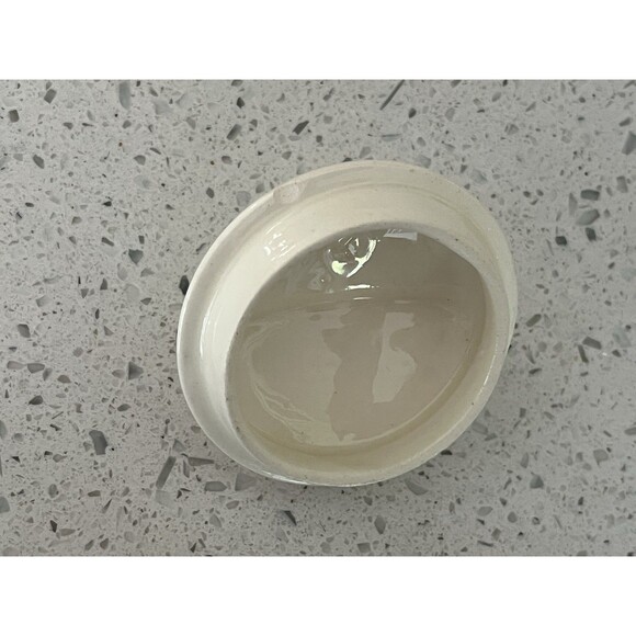 Blue Ridge Southern Potteries Stanhome Ivy And Berries Creamer And Sugar 1950's - Picture 8 of 8